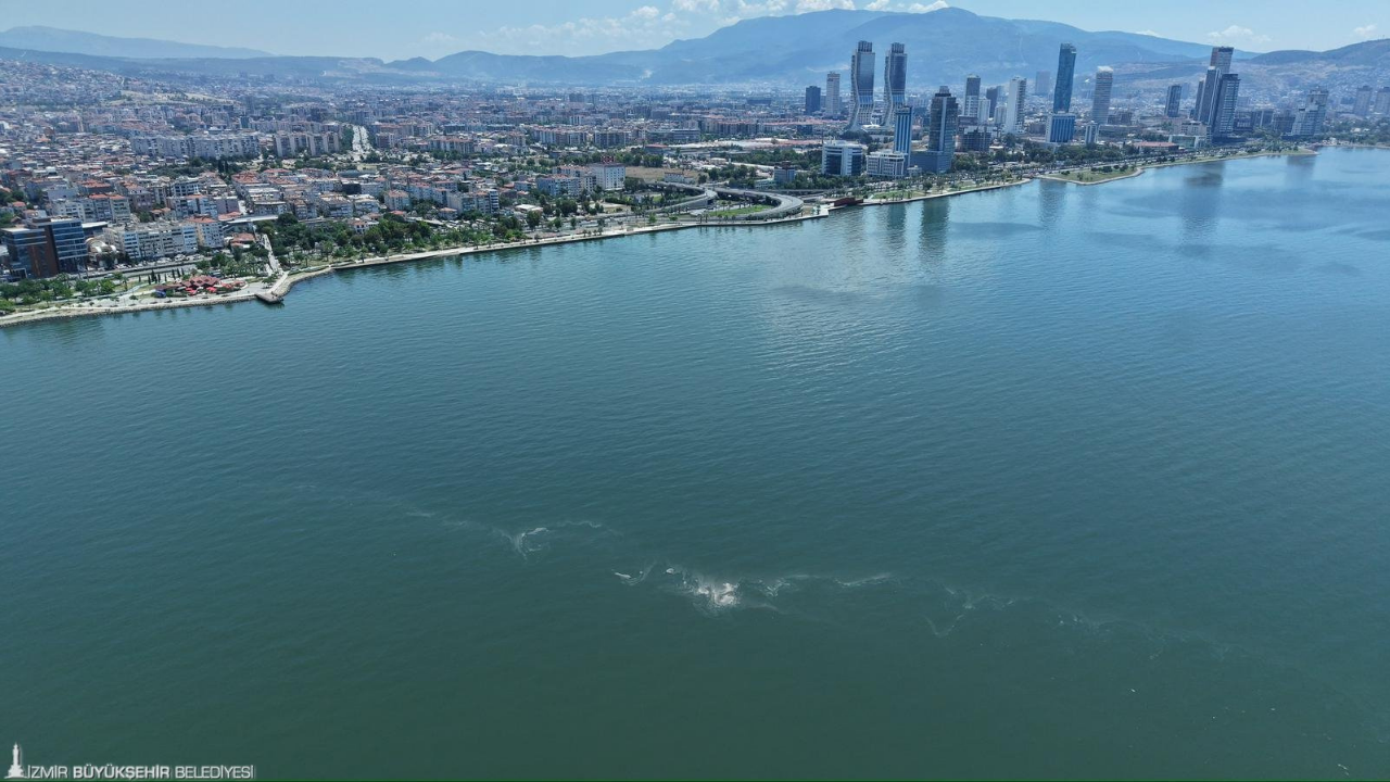 İzmir Körfezi’nde 14’Üncü Kez Kirlilik Tespit Edildi