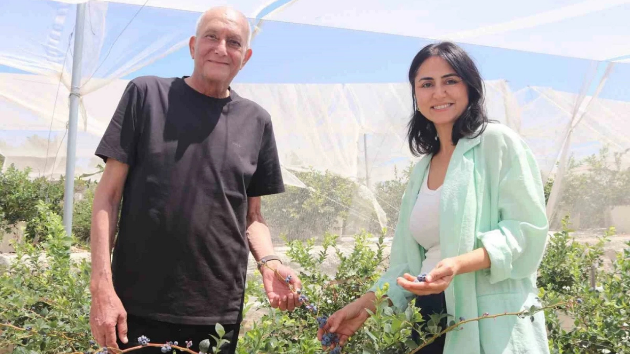 Urla'da Yerleşik Yaşama Geçtiler