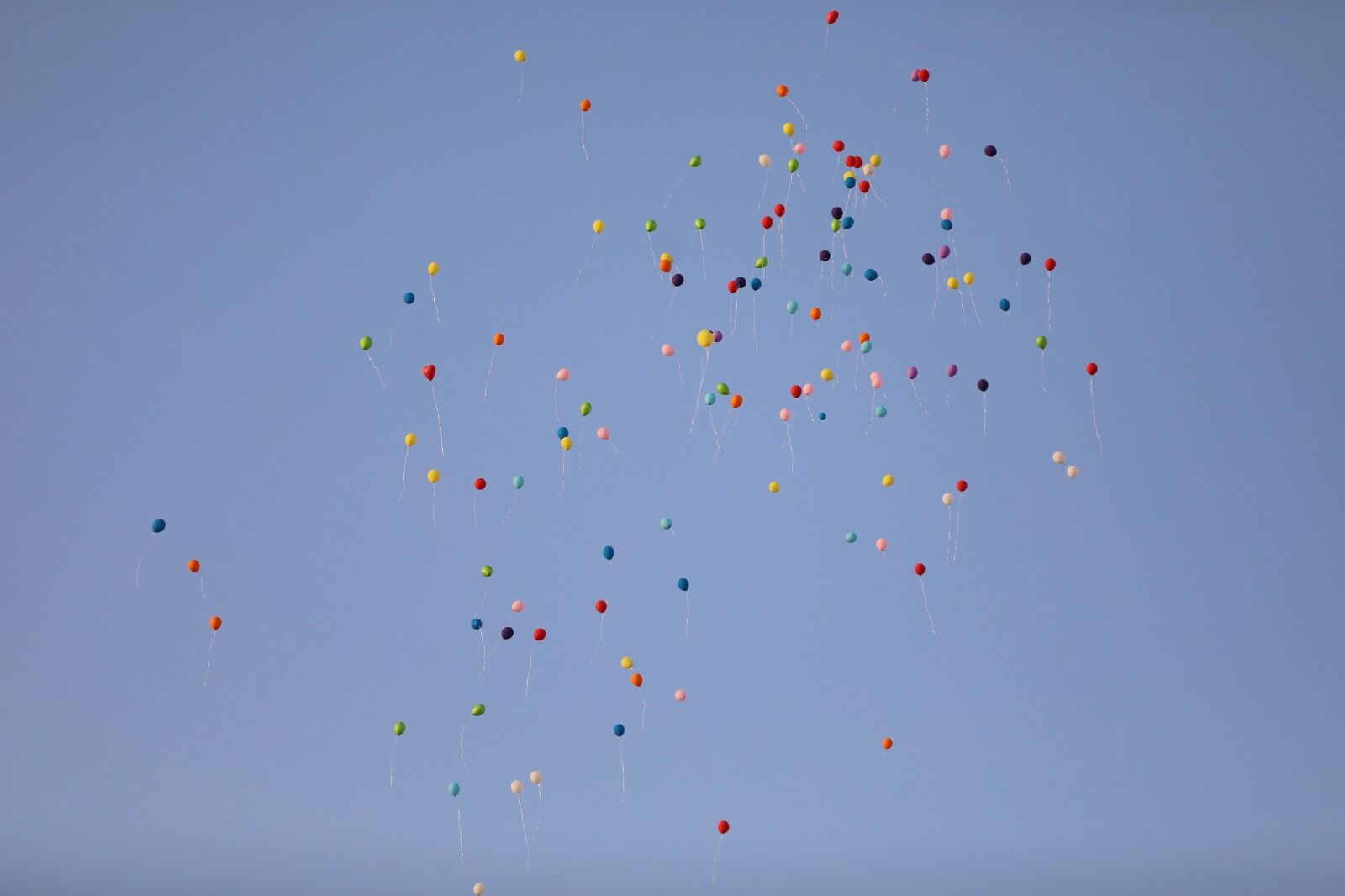 Göktuğ Balon Uçurma (5)