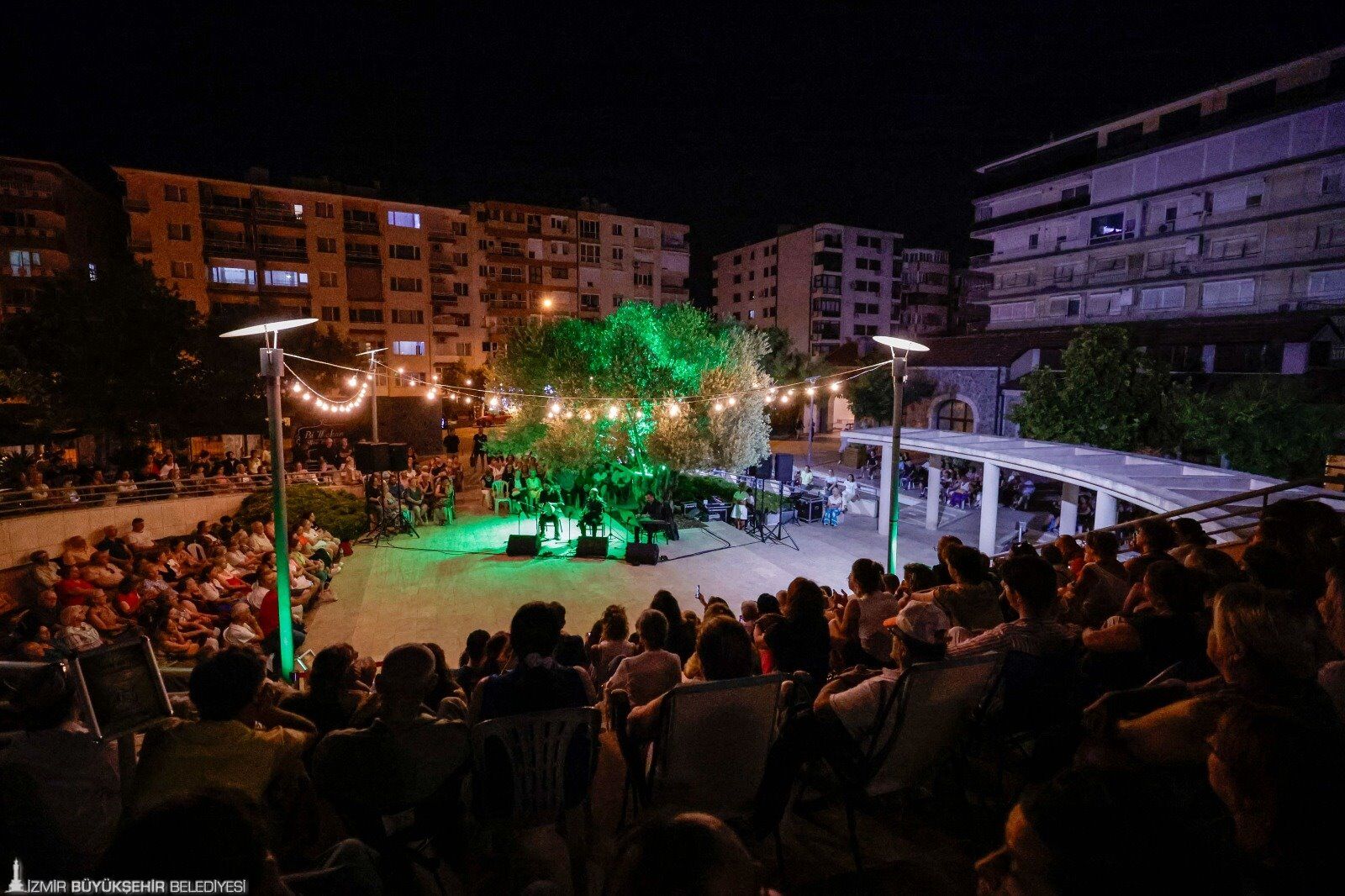 Zeytin Ağacı-3