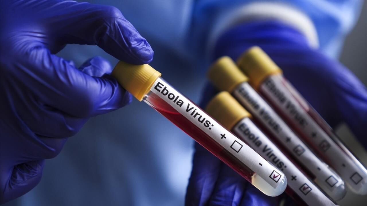 Kongo'da Ebola vakası 8 bini aştı