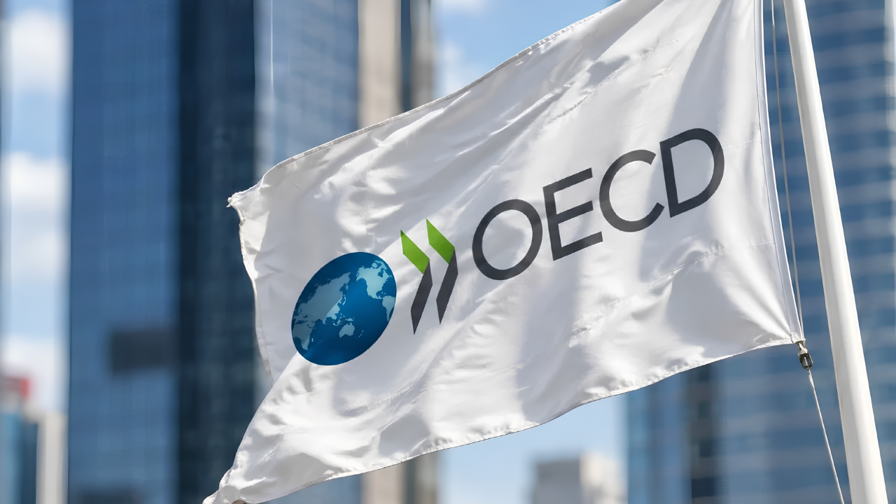 OECD'nin Türkiye raporu yayımlandı: Büyüme tahmini düştü, enflasyon beklentisi yükseldi
