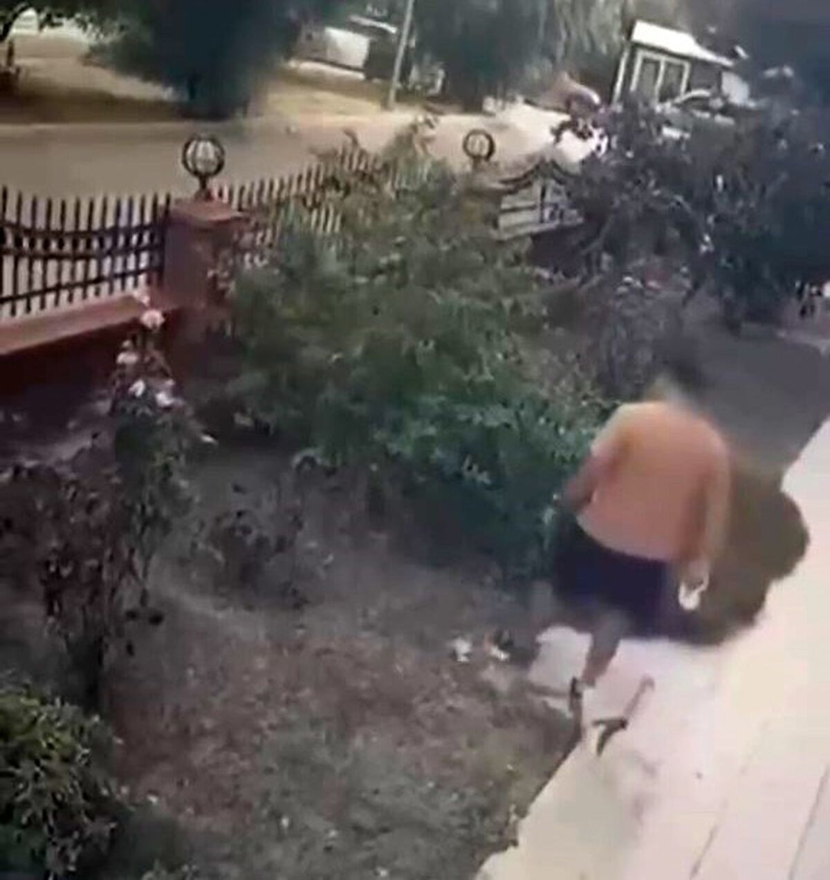 Bayraklı’da anne kediye tekme atan şüpheli yakalandı