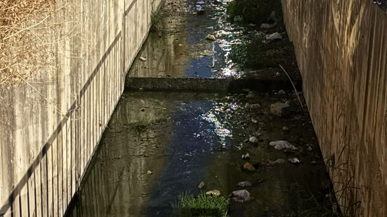 Izmirin Urla Ilcesinde Bir Deredeki Kirlilik Ve Kotu Koku Vatandaslarin Tepkisine Neden Oldu Emekli Ogretmen Hakan Yagci Derenin Temizlenmesi Icin Belediyeye Cagrida Bulundu 2