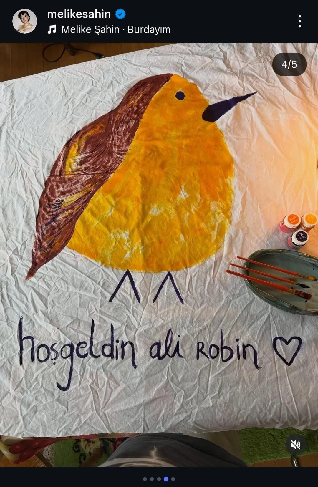 Ali Robin