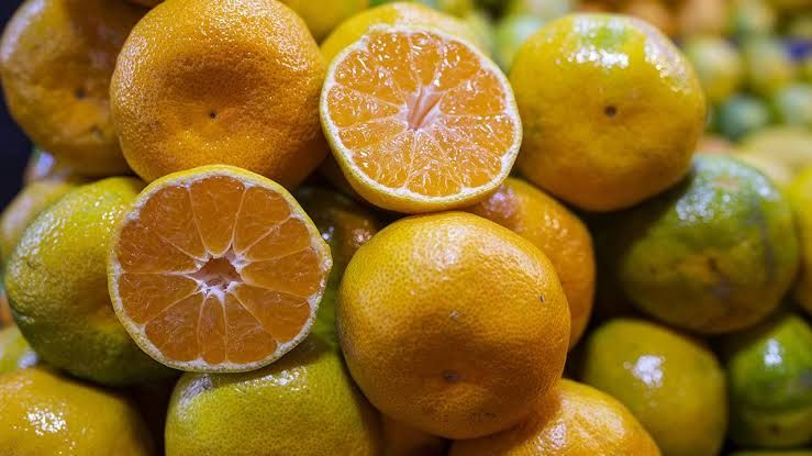 İzmir'de satsuma mandalina mesaisi başladı: Rekolte yüzde 12 arttı