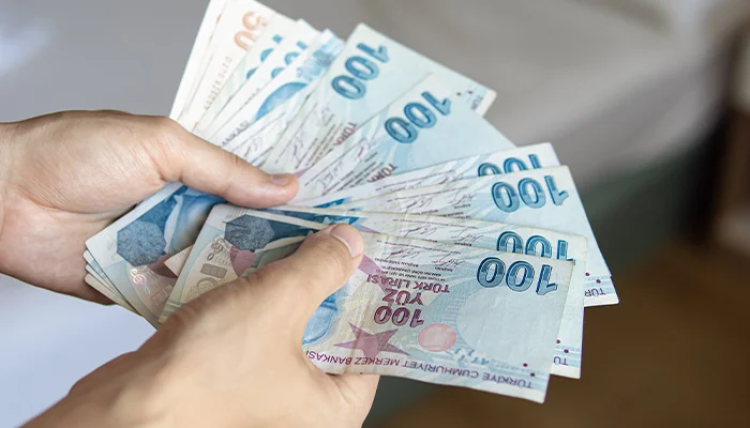 Yatirimci Sozlugu Para Arzi 1792479322 791 X750